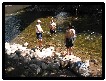 Click for large picture